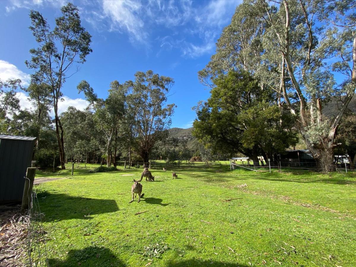 ホールズギャップ Kangurra Houseヴィラ エクステリア 写真